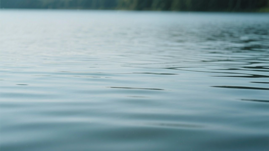 Bring Ease Back Into Your Financial Life